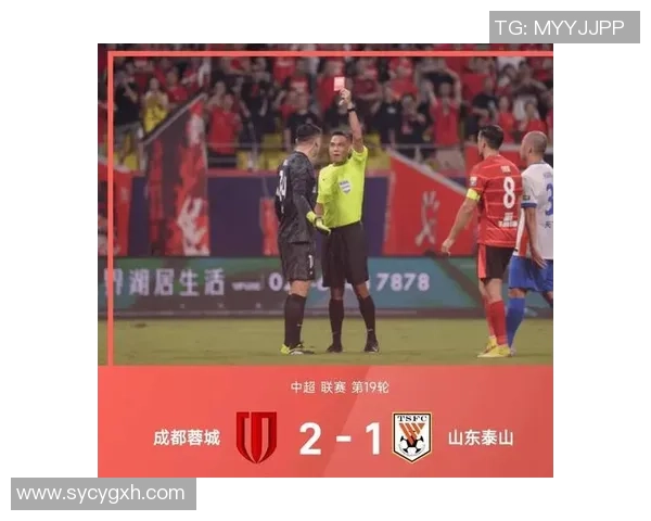 中超激战天津泰达迎战申花双方争夺季后赛名额的关键之战