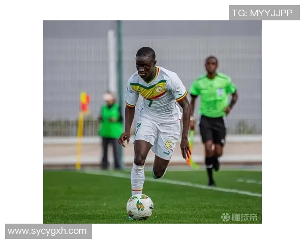 塞内加尔与突尼斯激战正酣谁能在非洲杯中笑到最后