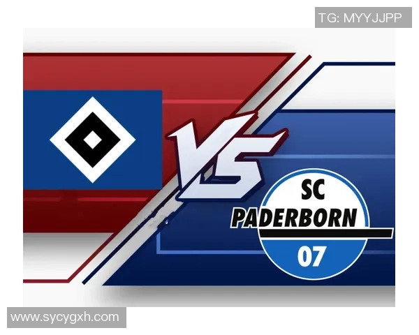 帕德伯恩与汉堡精彩对决视频回顾及赛后分析