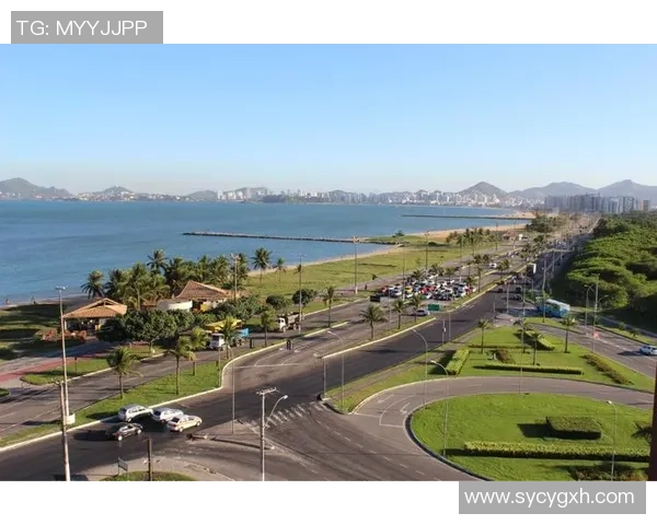 玻维利亚迎战巴西足球强队争夺南美洲预选赛重要积分