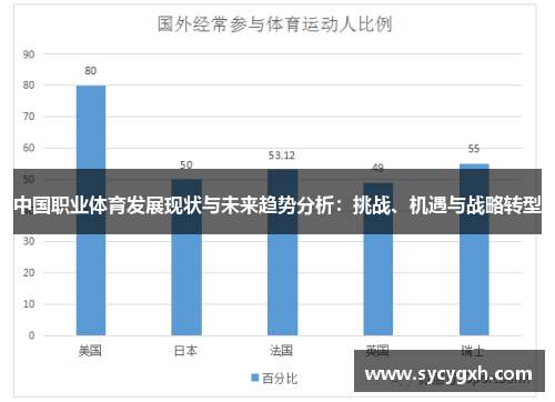 中国职业体育发展现状与未来趋势分析：挑战、机遇与战略转型