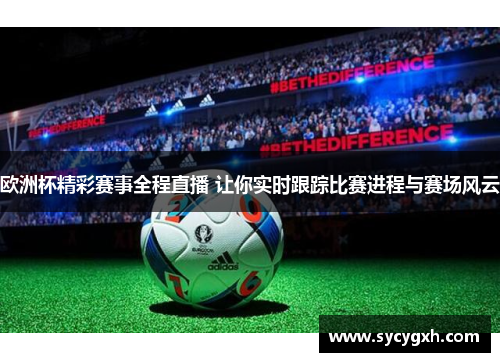 欧洲杯精彩赛事全程直播 让你实时跟踪比赛进程与赛场风云