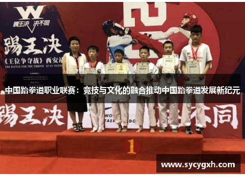 中国跆拳道职业联赛：竞技与文化的融合推动中国跆拳道发展新纪元